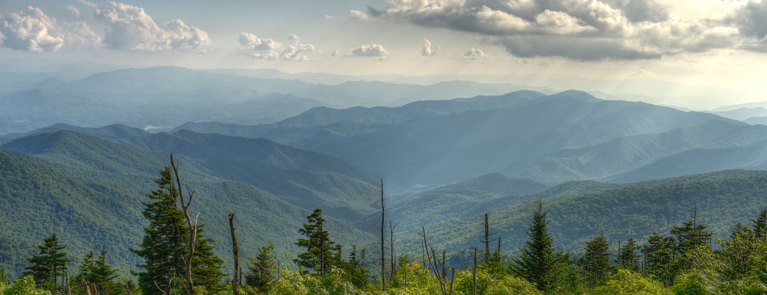 Excellence Vendor Excellence Vendor